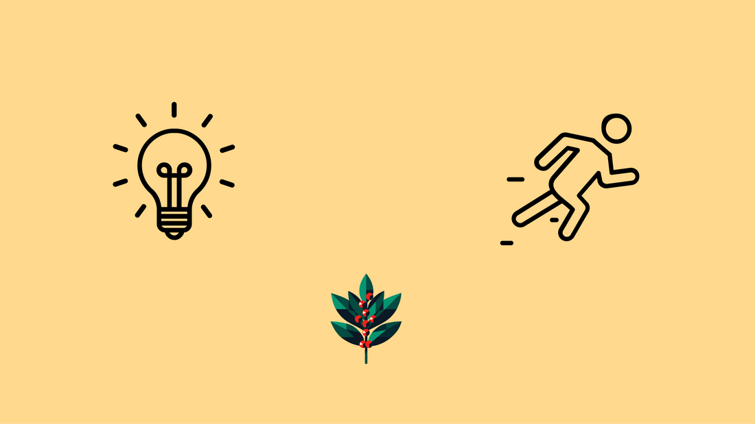 Theacrine benefits banner showing lightbulb for mental focus and running figure for athletic performance with Goldholly yaupon logo, representing sustained cognitive and physical energy.