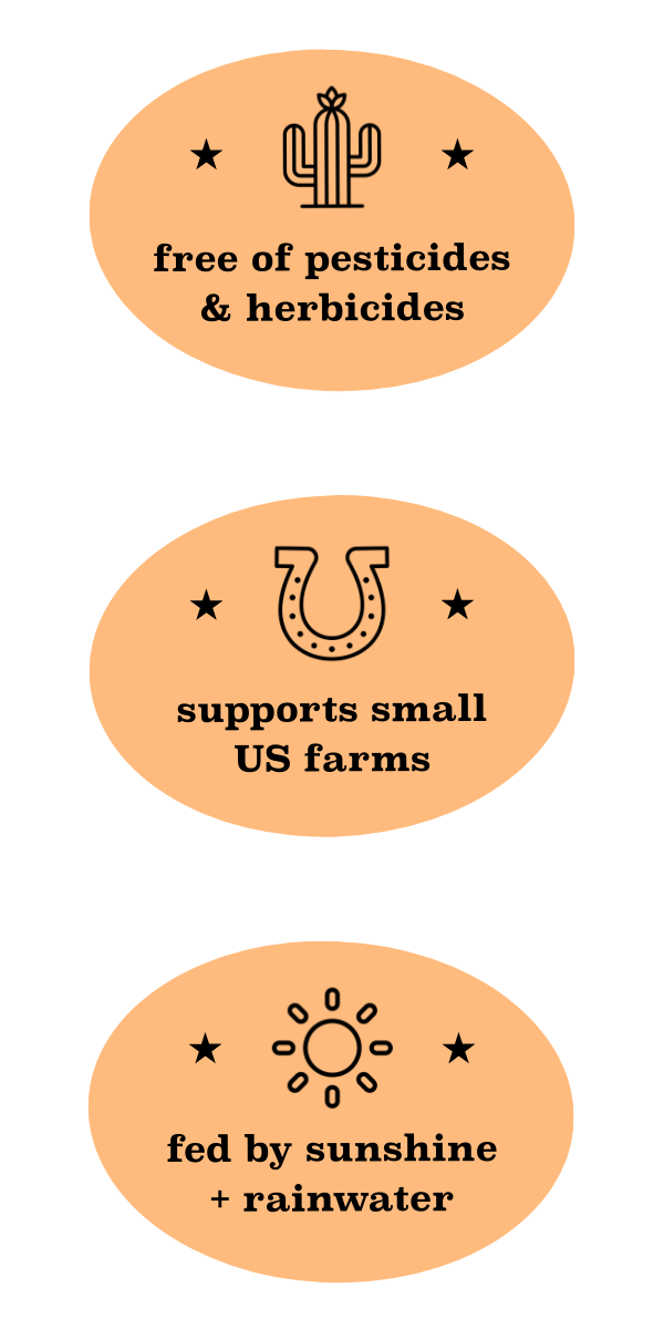 3 seals that display the multiple natural benefits of yaupon, such as supporting family-run American farms and being grown with sunshine and rainwater.