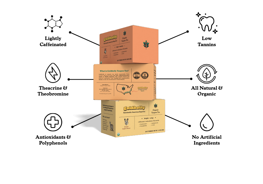 Stack of Goldholly organic yaupon tea boxes showcasing various blends like Ocelot Light Roast with detailed infographics highlighting America's only native caffeinated plant's powerful health benefits: lightly caffeinated with theobromine and theophylline for jitter-free sustained energy, rich in inflammation-fighting antioxidants and polyphenols, low tannins for stain-free teeth and better digestion, plus no artificial ingredients. Packaging prominently displays USDA organic certification.