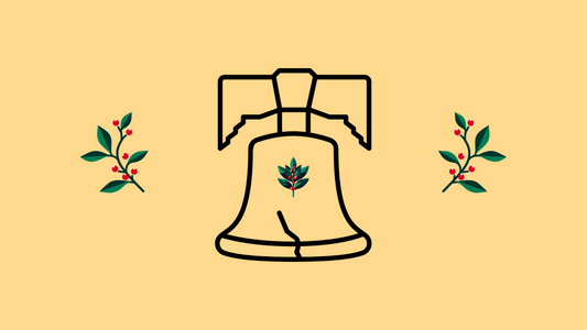 The Enduring Legacy of Yaupon: America's Native Tea