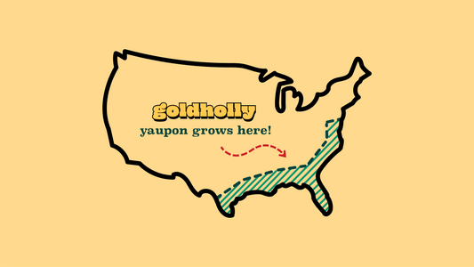 United States map showing Southeast region where yaupon grows naturally, illustrating Goldholly's regional American sourcing from Texas and Florida family farms