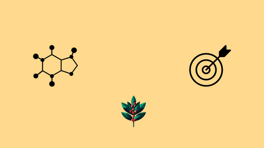 What Makes Yaupon's Energy Different