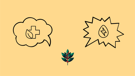 FAQ-style banner with health and energy icons representing common yaupon questions, featuring medical cross and energy burst symbols with Goldholly plant logo, illustrating the safety and benefits guide for America's native tea