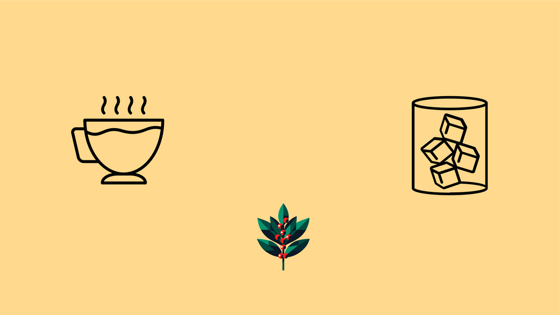 Geometric illustration showing hot yaupon tea in steaming cup and iced tea with ice cubes flanking Goldholly's signature teal yaupon holly leaf with red berries on cream background