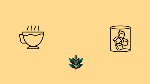 5 Goldholly Yaupon Tea Recipes to Transform Your Daily Ritual