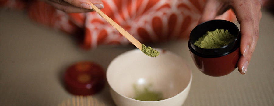 Yaupon vs. Matcha: How America's Native Tea Compares