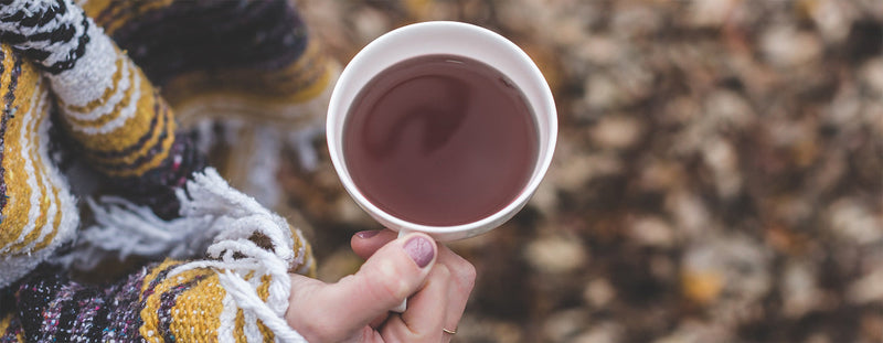 What Theobromine Does for Your Energy