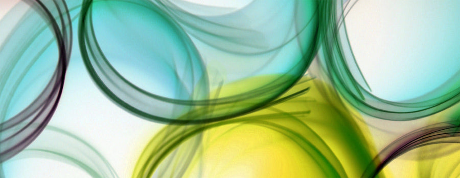 The Triple Alkaloid Advantage: Yaupon for Focus