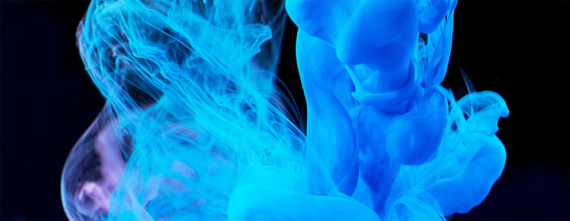 The Science Behind Yaupon's Antioxidant Power