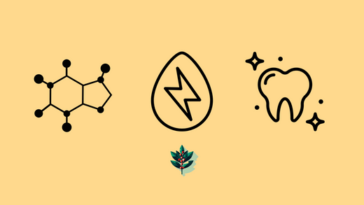 Graphic showcasing yaupon health benefits: a caffeine molecule, an energy icon, and a tooth icon symbolizing oral health, all displayed on a yellow background with a yaupon branch illustration.