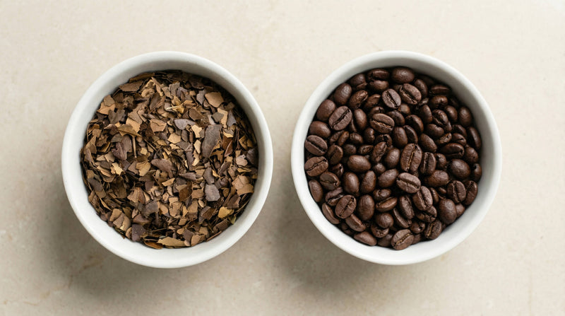 Yaupon vs. Coffee: A Side-by-Side Comparison