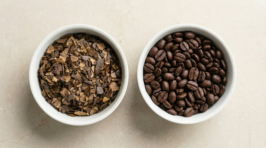 Loose yaupon holly leaves and roasted coffee beans side by side in white bowls, showing the raw ingredients behind America's native caffeine plant and the world's most popular imported brew