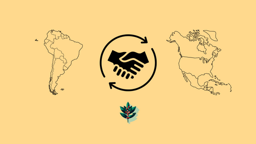 Graphic highlighting the relationship between South American yerba mate and North American yaupon holly, symbolized by handshake and circular arrows, accompanied by simplified continent outlines and yaupon leaves.