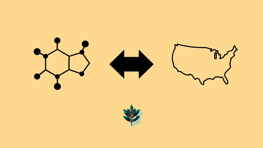 Graphic illustrating yaupon holly as a native, sustainable caffeine source in the United States, featuring a caffeine molecular structure, USA map outline, and yaupon leaves on a yellow background.