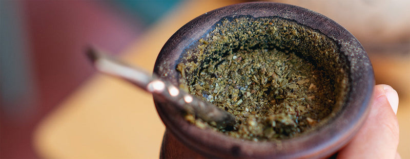 Distant Cousins: Yerba Maté & Yaupon