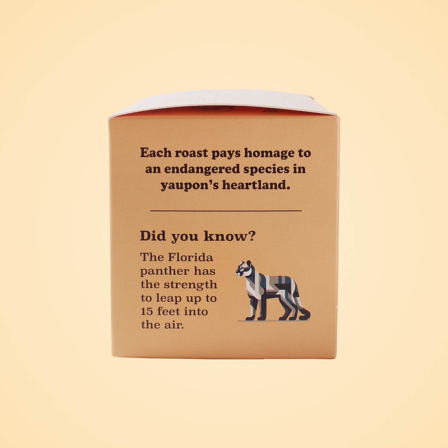 Goldholly Panther Medium Roast box side panel featuring Florida panther conservation facts with geometric cat illustration, educating about endangered species while promoting sustainable American caffeine.