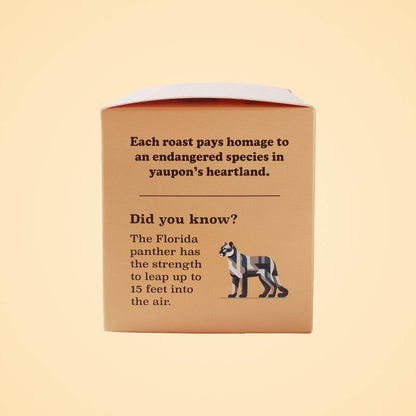 Goldholly Panther Medium Roast box side panel featuring Florida panther conservation facts with geometric cat illustration, educating about endangered species while promoting sustainable American caffeine.