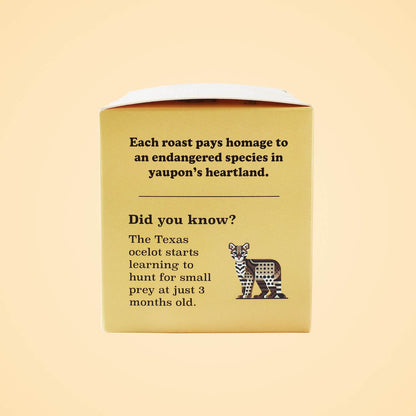 Side panel of Goldholly Ocelot Light Roast yaupon tea box featuring conservation message about endangered Texas ocelots with stylized animal illustration and educational facts about Texas wildlife.