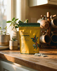 Goldholly Original organic yaupon tea pouch on a warm sunlit kitchen counter with loose teabags beside it, copper mug tree and green plants in the background--6