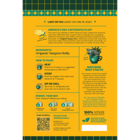 Back panel of Goldholly Original yaupon tea pouch showing America's Only Caffeinated Plant story, How to Enjoy brewing instructions, Energy Your Way dosing guide, Nurturing What's Native conservation message, and plant-based teabag details--7