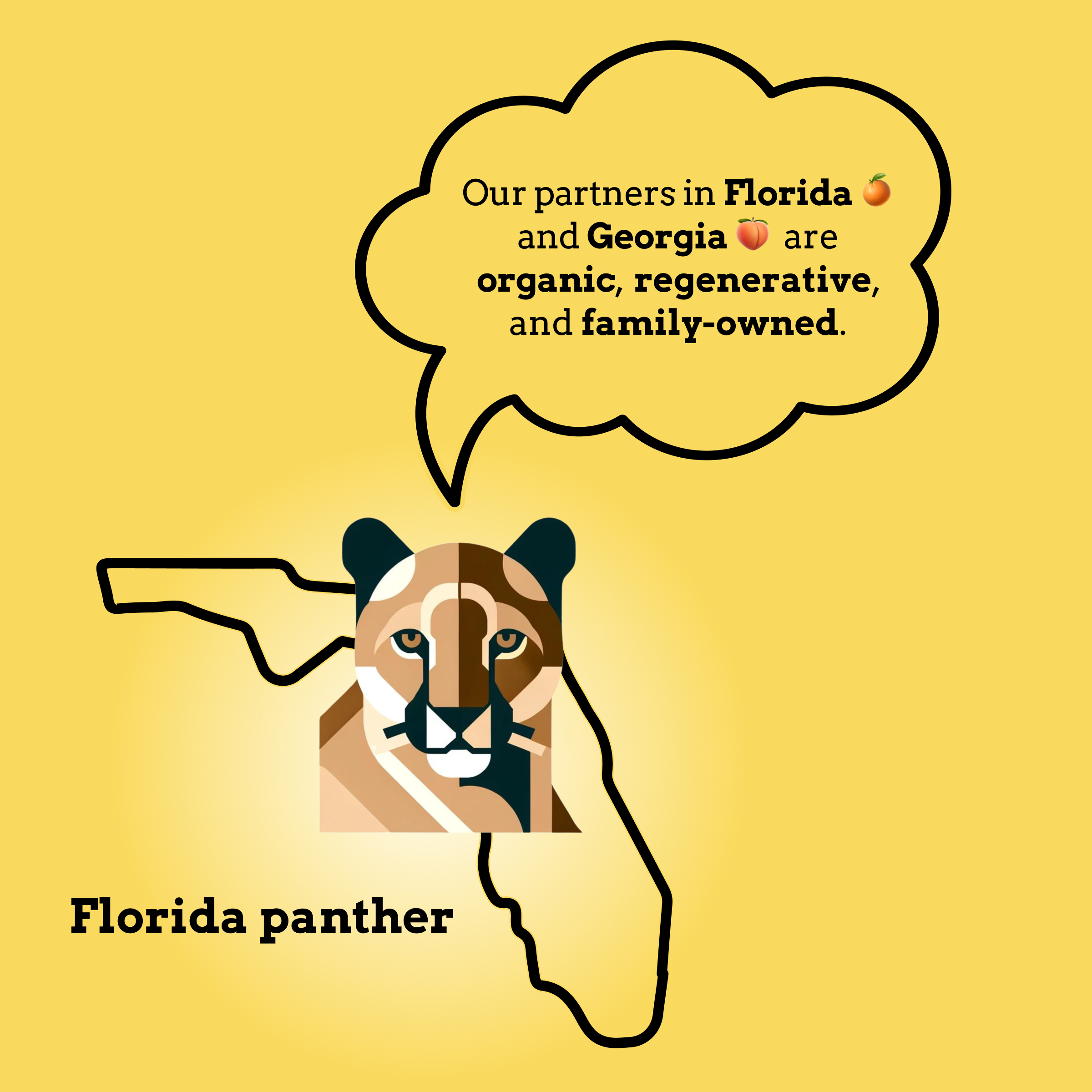 A graphic of a Florida panther describing Goldholly's sourcing of yaupon from regenerative farms.