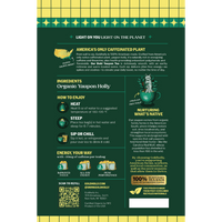 Goldholly Bold organic yaupon tea packaging back: brewing instructions, ingredients organic yaupon holly, about 30mg caffeine per teabag, 100% plant-based tea bags--7