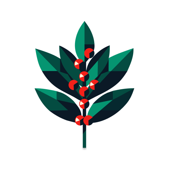 Stylized illustration of a yaupon holly branch with vibrant green leaves and red berries, representing Goldholly's brand and focus on organic, sustainable, and regenerative practices.