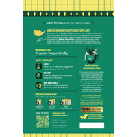Goldholly Mellow organic yaupon tea packaging back: brewing instructions, ingredients organic yaupon holly, about 30mg caffeine per teabag, 100% plant-based tea bags--7