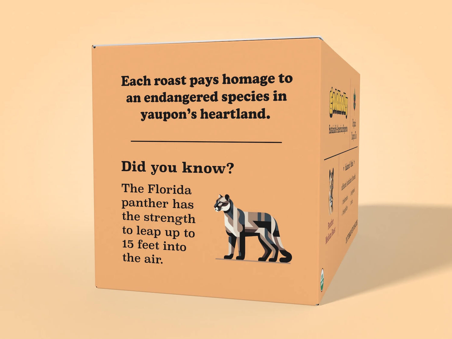 Goldholly Organic Yaupon Tea Medium Roast box packaging left panel featuring educational content about the Florida panther, explaining how the animal has the strength to leap up to 15 feet into the air. Includes a stylized geometric panther illustration and mentions how each roast pays homage to endangered species in yaupon's heartland, set against a yellow background.