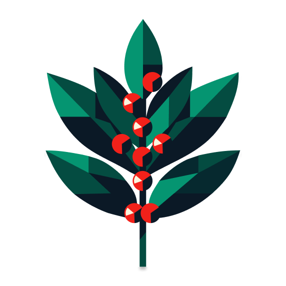 A graphic of a branch of yaupon holly with berries.