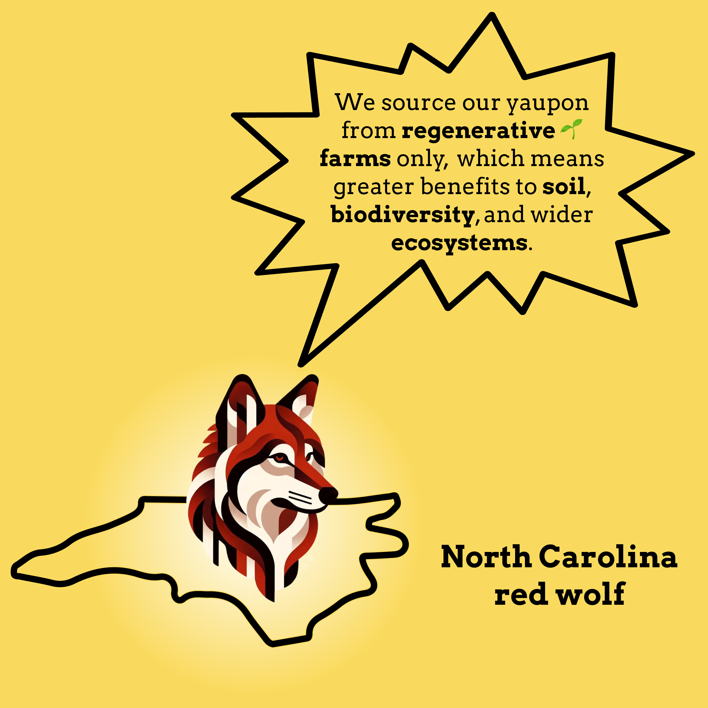 A graphic of a North Carolina red wolf describing Goldholly's sourcing of yaupon from regenerative farms.