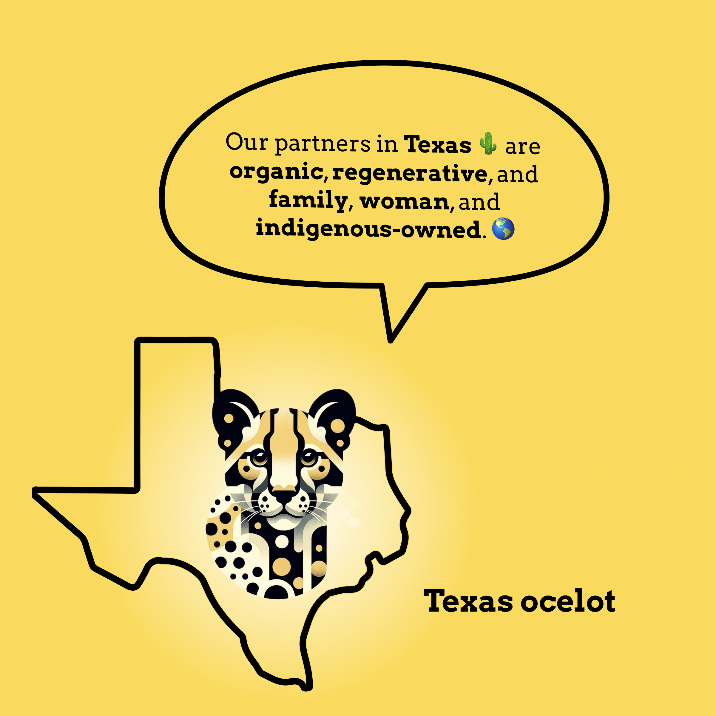 A graphic of a Texas ocelot describing Goldholly's partners in Texas.