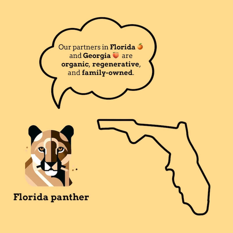 Graphic showcasing Goldholly's organic and regenerative partners in Florida and Georgia, who are family-owned. Features an illustration of the Florida panther and an outline of Florida, highlighting sustainable sourcing and community-focused values.