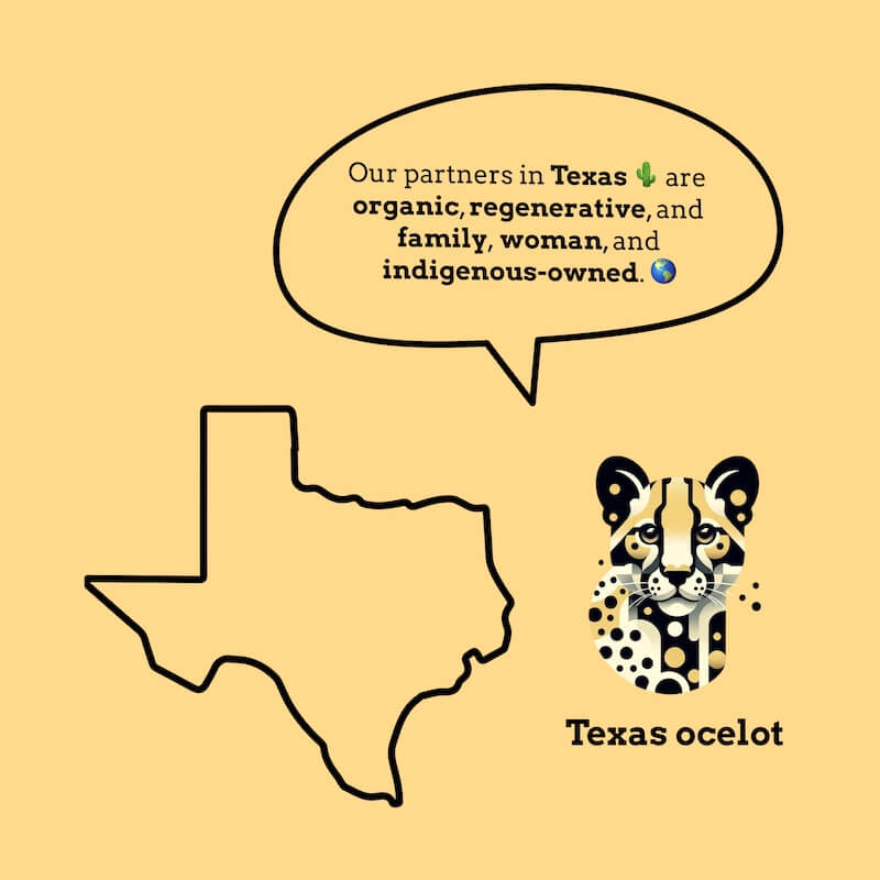 Graphic highlighting Goldholly's ethical sourcing from partners in Texas who are organic, regenerative, and family, woman, and Indigenous-owned. Features an illustration of the Texas ocelot and an outline of Texas, emphasizing sustainable and community-focused practices.