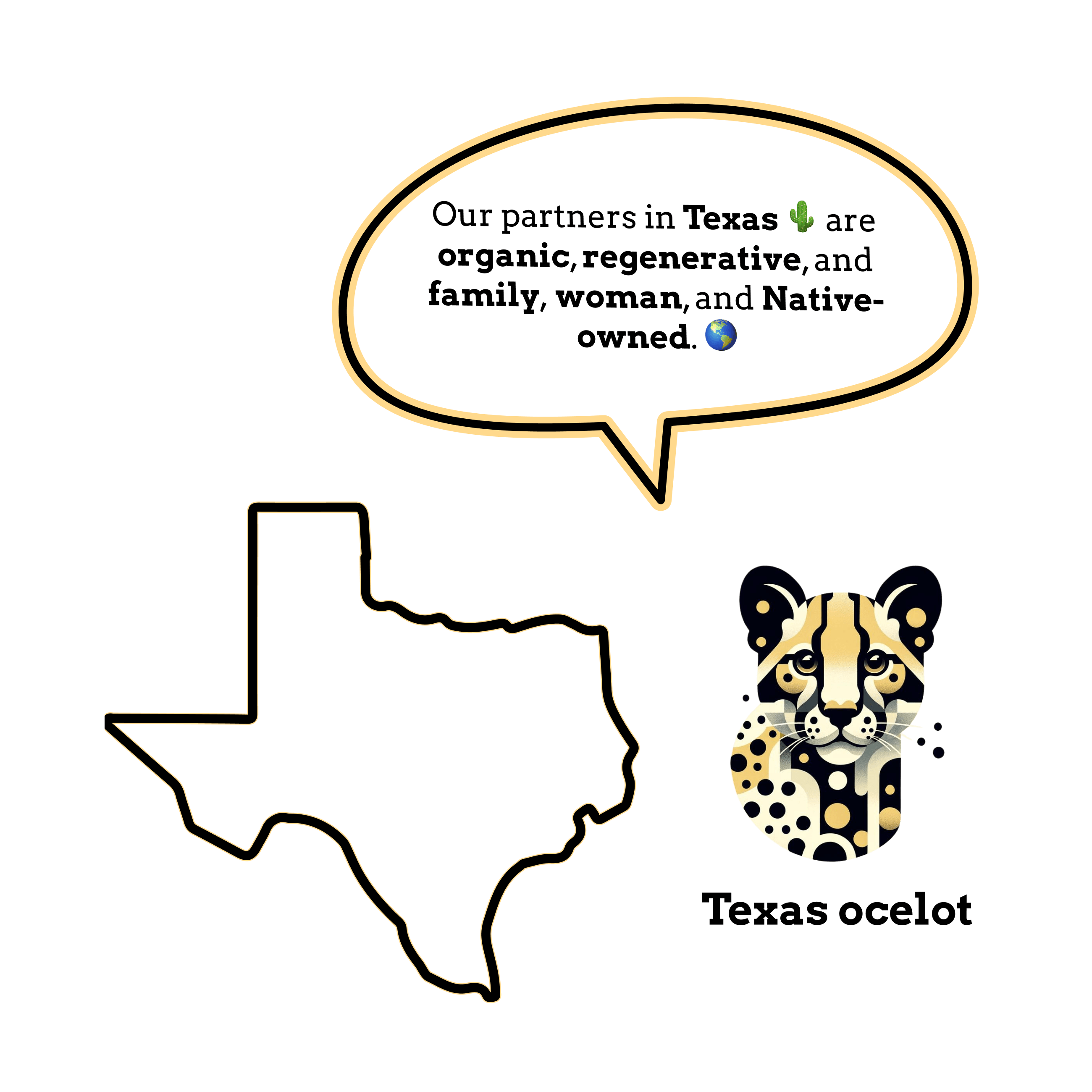 Graphic highlighting Goldholly's ethical sourcing from partners in Texas who are organic, regenerative, and family, woman, and Native-owned. Features an illustration of the Texas ocelot and an outline of Texas, emphasizing sustainable and community-focused practices.